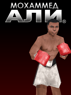3D_Ali_Boxing.jar
