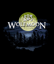 WolfMoon_132.jar